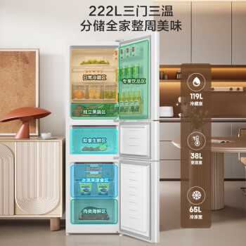 ţHisenseС żõ222Űɫŷ˪ʡⷿ BCD-222WTDG/S