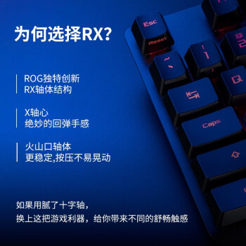 ROGҹ RX PBTеϷ̹ѧеRGB ˮ ROG RX PBT