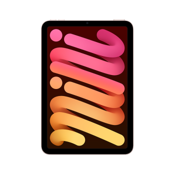 Apple/ƻŻݡiPadmini 8.3Ӣƽ 2021(256GB WLAN/MLWR3CH/A)ɫ